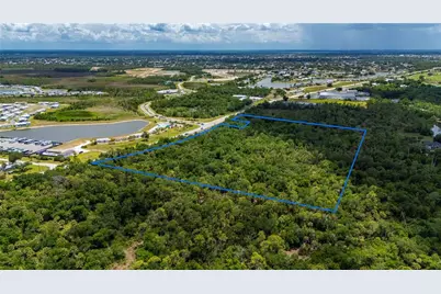 Sw Co Rd 769, Lake Suzy, FL 34269 - Photo 2