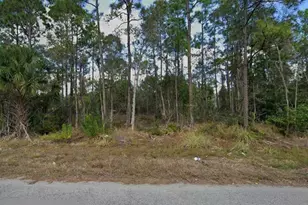 453 Conlee St, Lehigh Acres, FL 33974 - Photo 1