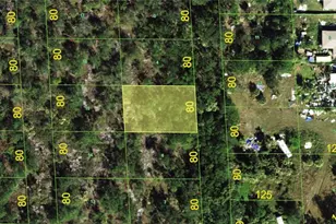239 Sawfish Ln, Punta Gorda, FL 33982 - Photo 1