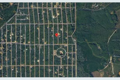David Avenue, Interlachen, FL 32148 - Photo 4