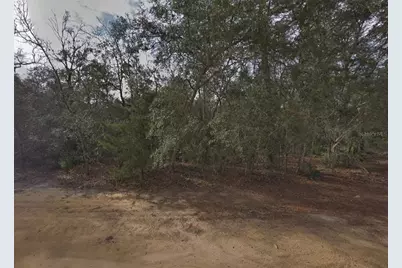 David Avenue, Interlachen, FL 32148 - Photo 1