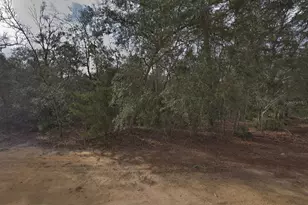 David Ave, Interlachen, FL 32148 - Photo 1