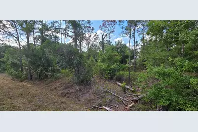 27402 Mandalay Drive, Punta Gorda, FL 33955 - Photo 6