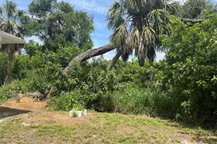 1516 Abel St, Port Charlotte, FL 33952 - Photo 40
