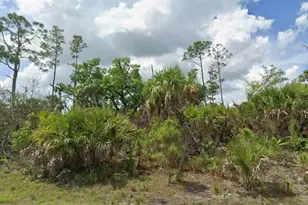 Lot 17 Firebird Rd, North Port, FL 34288 - Photo 1