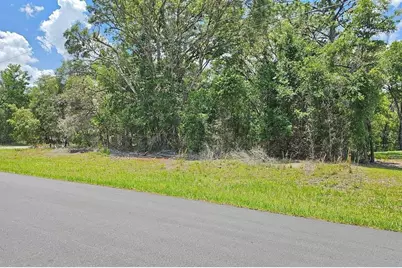 8572 N Pitcairn Way, Dunnellon, FL 34434 - Photo 2