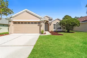 23211 Bayou Grove St, Land O Lakes, FL 34639 - Photo 1