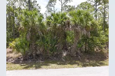 12226 Ripple Drive, Punta Gorda, FL 33955 - Photo 1