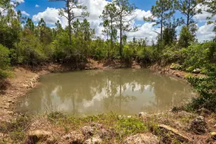 32706 Oil Well Rd, Punta Gorda, FL 33955 - Photo 34