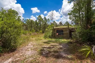 32706 Oil Well Rd, Punta Gorda, FL 33955 - Photo 38