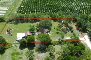 3740 NE Pitcher Dr, Arcadia, FL 34266 - Photo 30