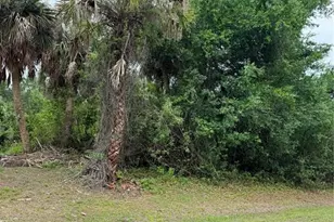 12192 Chamberlain Blvd, Port Charlotte, FL 33953 - Photo 1
