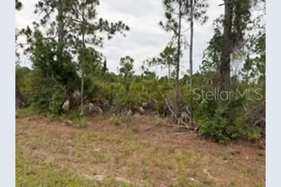 12141 Mc Elroy Avenue, Port Charlotte, FL 33981 - Photo 2