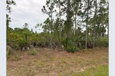 12141 Mc Elroy Avenue, Port Charlotte, FL 33981 - Photo 1