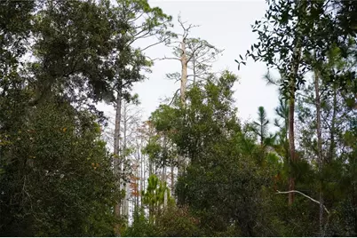 West Parkway, Deland, FL 32724 - Photo 4