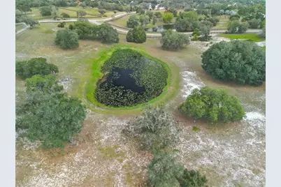 503 Bear Road Road, Lake Placid, FL 33852 - Photo 42