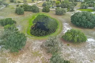 503 Bear Road Rd, Lake Placid, FL 33852 - Photo 42