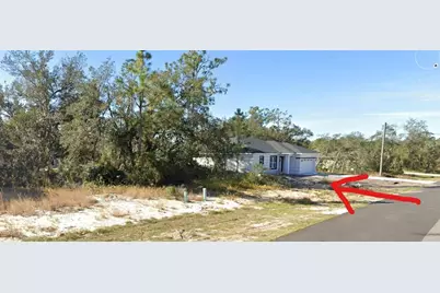 377 Amberjack Court, Kissimmee, FL 34759 - Photo 2