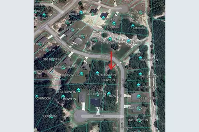 364 Bowfin Drive, Poinciana, FL 34759 - Photo 1