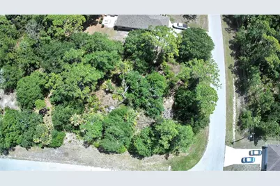 Lot #3 Towhlen Road, North Port, FL 34291 - Photo 2