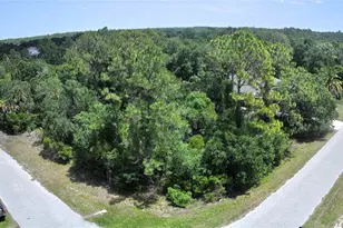 Lot #3 Towhlen Rd, North Port, FL 34291 - Photo 1