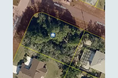 11416 Adelia Street, Spring Hill, FL 34608 - Photo 2