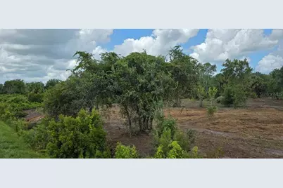 16171 NW 254th Street, Okeechobee, FL 34972 - Photo 8