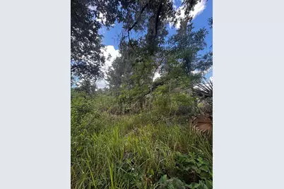 Lee Street, Bowling Green, FL 33834 - Photo 6