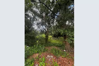 Lee Street, Bowling Green, FL 33834 - Photo 4
