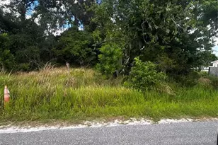 Lee St, Bowling Green, FL 33834 - Photo 1