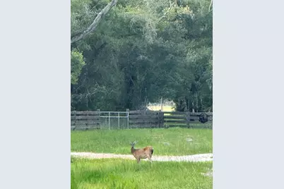 Se Brown Road, Arcadia, FL 34266 - Photo 12
