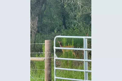 Se Brown Road, Arcadia, FL 34266 - Photo 8