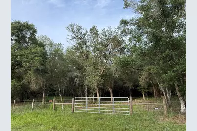 Se Brown Road, Arcadia, FL 34266 - Photo 4