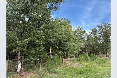 Se Brown Road, Arcadia, FL 34266 - Photo 6