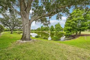 6916 Stoneywalk Ct, Bradenton, FL 34203 - Photo 28