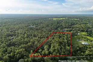Slash Pine Dr, North Port, FL 34291 - Photo 1