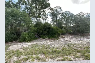 515 Concert Drive, Lake Placid, FL 33852 - Photo 2