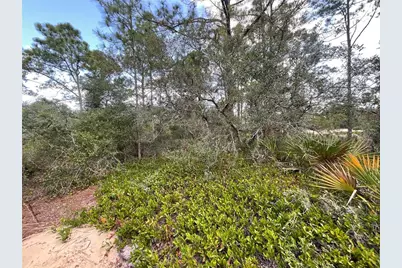 515 Concert Drive, Lake Placid, FL 33852 - Photo 4