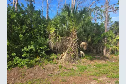 Pronto Lane, North Port, FL 34286 - Photo 1