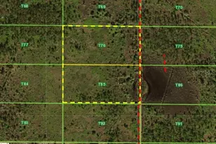 50530 Bermont Rd, Punta Gorda, FL 33982 - Photo 1