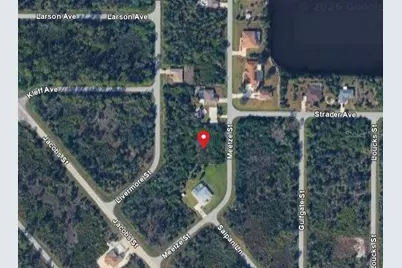 2307 Meetze Street, Port Charlotte, FL 33953 - Photo 2