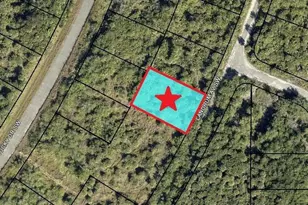 2466 Landrum Ave SW, Palm Bay, FL 32908 - Photo 1