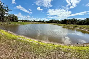 7605 Nottinghill Sky Dr, Apollo Beach, FL 33572 - Photo 72
