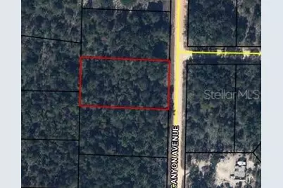 0 Canyon Avenue, Alford, FL 32420 - Photo 4