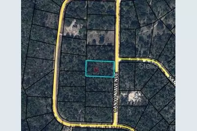 0 Canyon Avenue, Alford, FL 32420 - Photo 2