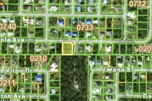 1133 Ample Ave, Port Charlotte, FL 33948 - Photo 1