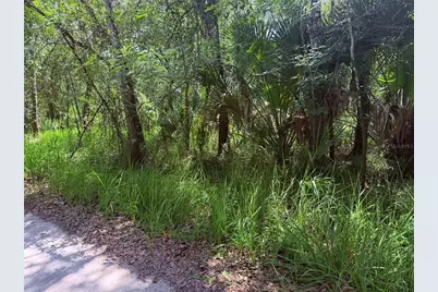 Ne River Ridge Avenue, Arcadia, FL 34266 - Photo 2