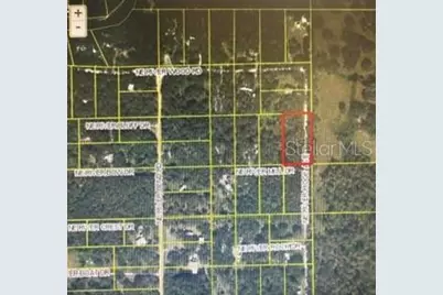 Ne River Ridge Avenue, Arcadia, FL 34266 - Photo 4