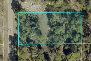 1318 Scott Ave, Lehigh Acres, FL 33972 - Photo 1
