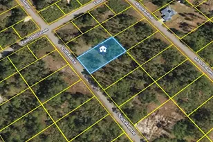 1318 Scott Ave, Lehigh Acres, FL 33972 - Photo 1